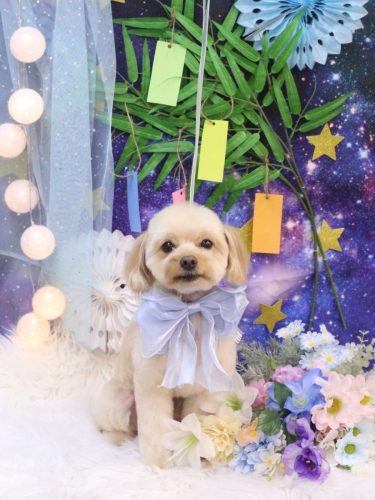 20250705ちゃいろくん